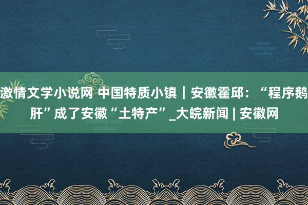 激情文学小说网 中国特质小镇｜安徽霍邱：“程序鹅肝”成了安徽“土特产”_大皖新闻 | 安徽网