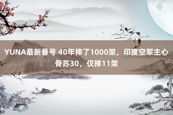 YUNA最新番号 40年摔了1000架，印度空军主心骨苏30，仅摔11架