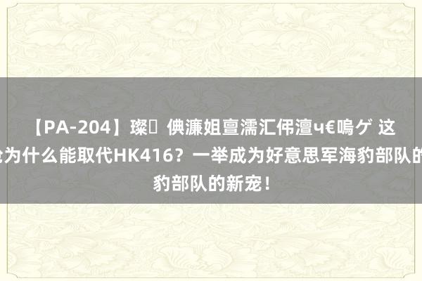 【PA-204】璨倎濂姐亶濡汇伄澶ч€嗚ゲ 这支步枪为什么能取代HK416？一举成为好意思军海豹部队的新宠！