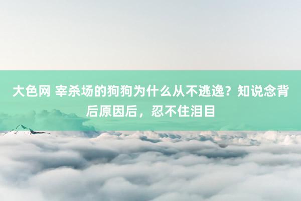 大色网 宰杀场的狗狗为什么从不逃逸？知说念背后原因后，忍不住泪目