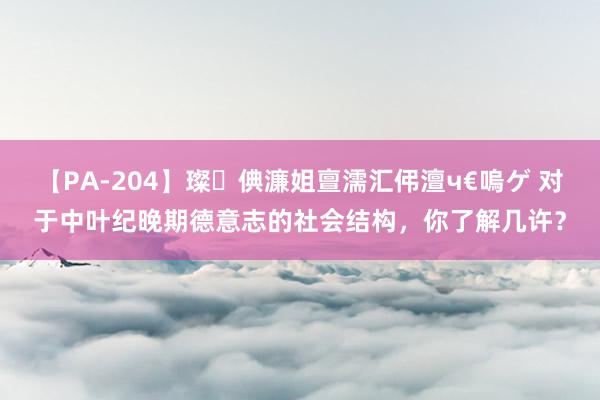 【PA-204】璨倎濂姐亶濡汇伄澶ч€嗚ゲ 对于中叶纪晚期德意志的社会结构，你了解几许？