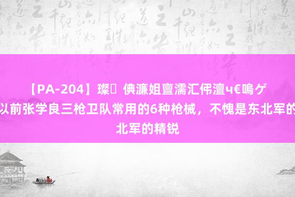 【PA-204】璨倎濂姐亶濡汇伄澶ч€嗚ゲ 领路以前张学良三枪卫队常用的6种枪械，不愧是东北军的精锐