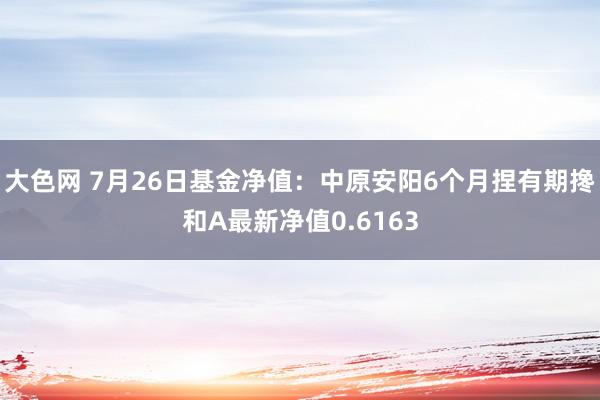 大色网 7月26日基金净值：中原安阳6个月捏有期搀和A最新净值0.6163