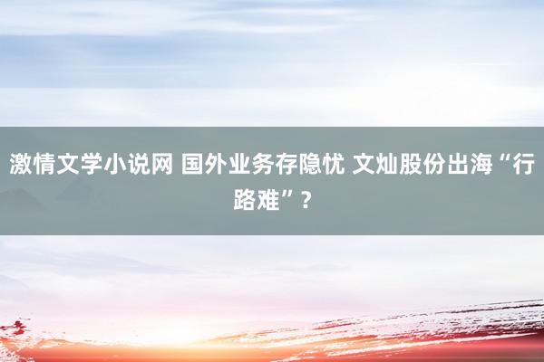 激情文学小说网 国外业务存隐忧 文灿股份出海“行路难”？