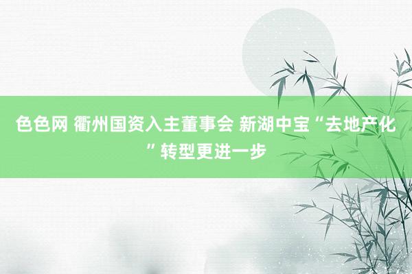 色色网 衢州国资入主董事会 新湖中宝“去地产化”转型更进一步