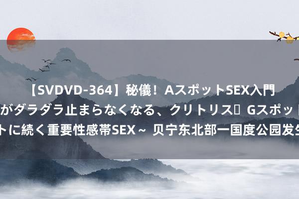 【SVDVD-364】秘儀！AスポットSEX入門 ～刺激した瞬間から愛液がダラダラ止まらなくなる、クリトリス・Gスポットに続く重要性感帯SEX～ 贝宁东北部一国度公园发生伏击事件 12东谈主亏空