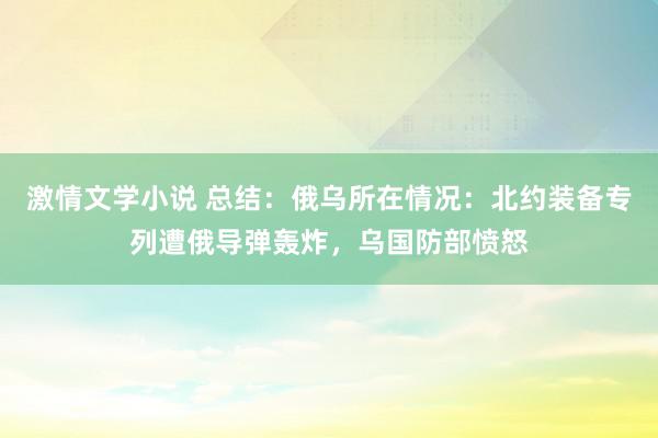 激情文学小说 总结：俄乌所在情况：北约装备专列遭俄导弹轰炸，乌国防部愤怒