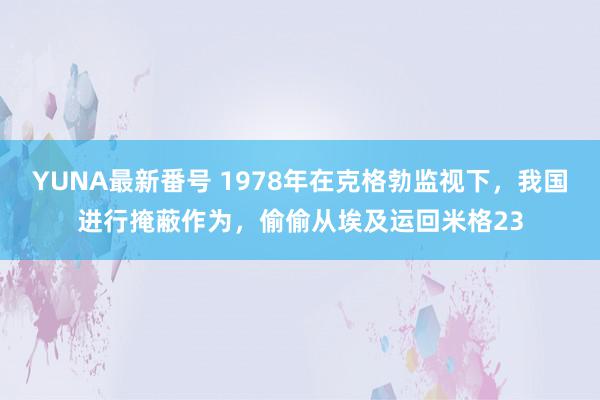 YUNA最新番号 1978年在克格勃监视下，我国进行掩蔽作为，偷偷从埃及运回米格23