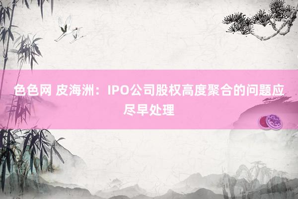 色色网 皮海洲：IPO公司股权高度聚合的问题应尽早处理