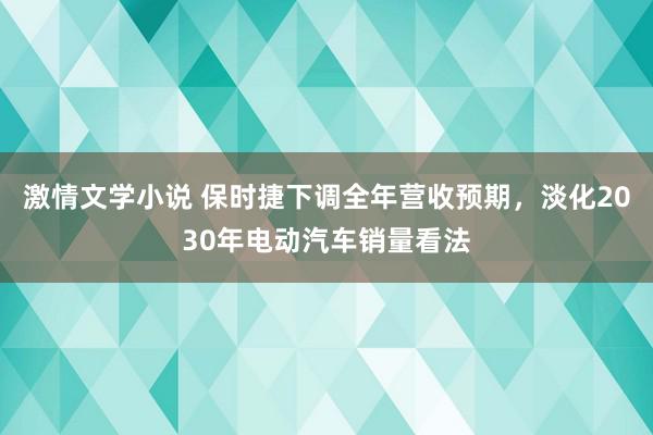 激情文学小说 保时捷下调全年营收预期，淡化2030年电动汽车销量看法