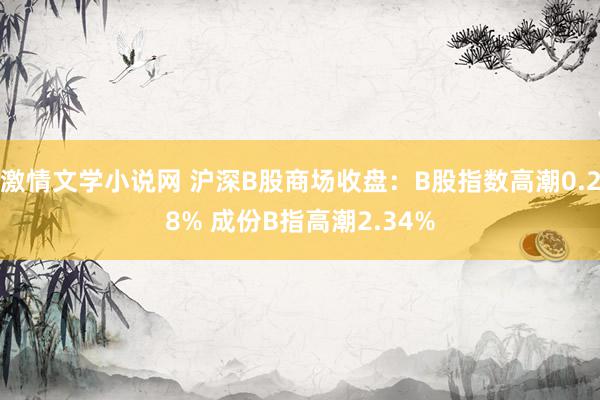 激情文学小说网 沪深B股商场收盘：B股指数高潮0.28% 成份B指高潮2.34%