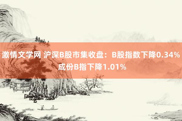 激情文学网 沪深B股市集收盘：B股指数下降0.34% 成份B指下降1.01%