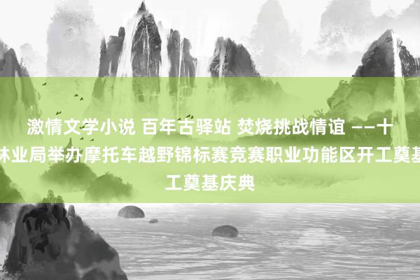 激情文学小说 百年古驿站 焚烧挑战情谊 ——十八站林业局举办摩托车越野锦标赛竞赛职业功能区开工奠基庆典