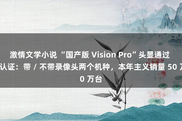 激情文学小说 “国产版 Vision Pro”头显通过 3C 认证：带 / 不带录像头两个机种，本年主义销量 50 万台