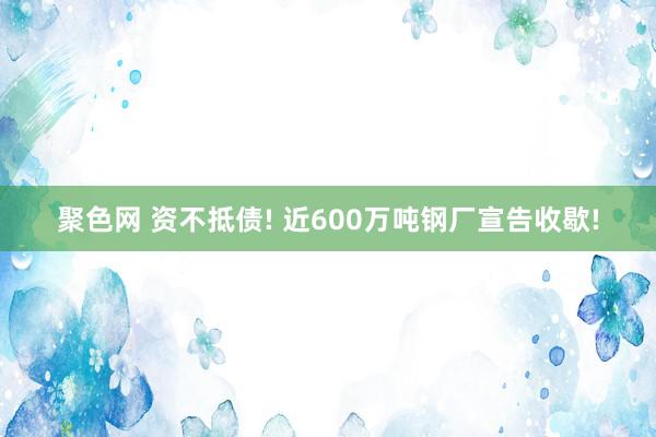 聚色网 资不抵债! 近600万吨钢厂宣告收歇!