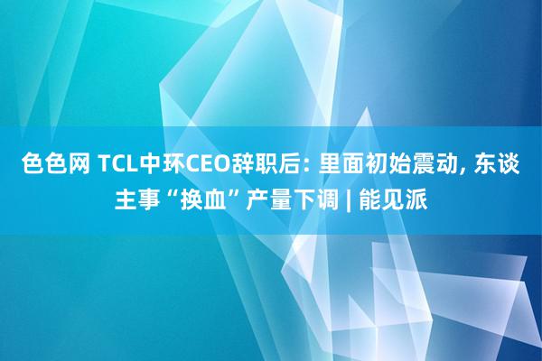 色色网 TCL中环CEO辞职后: 里面初始震动, 东谈主事“换血”产量下调 | 能见派