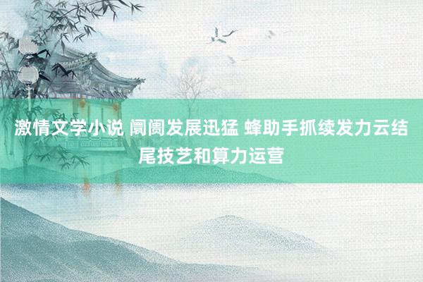 激情文学小说 阛阓发展迅猛 蜂助手抓续发力云结尾技艺和算力运营