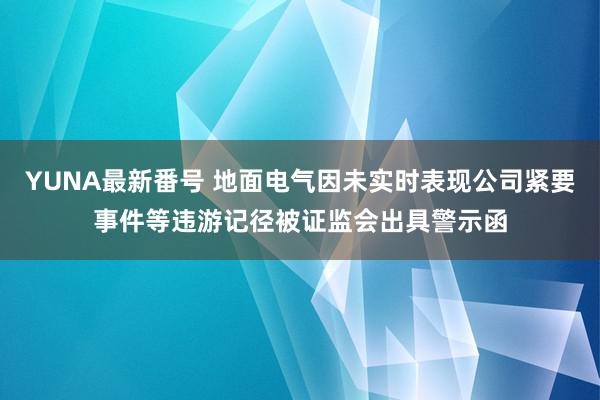 YUNA最新番号 地面电气因未实时表现公司紧要事件等违游记径被证监会出具警示函