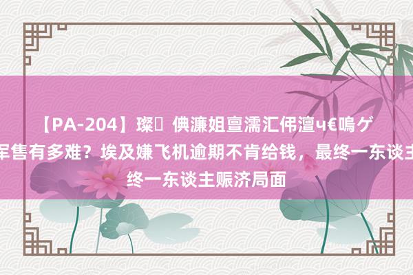 【PA-204】璨倎濂姐亶濡汇伄澶ч€嗚ゲ 中国首单军售有多难？埃及嫌飞机逾期不肯给钱，最终一东谈主赈济局面