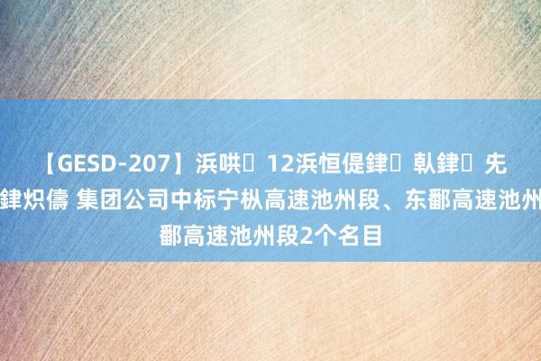 【GESD-207】浜哄12浜恒偍銉倝銉兂銉€銉笺儵銉炽儔 集团公司中标宁枞高速池州段、东鄱高速池州段2个名目